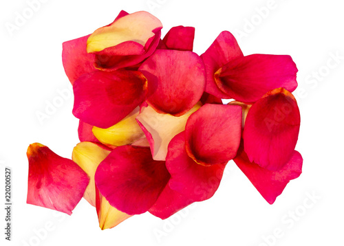Bunch of rose petals