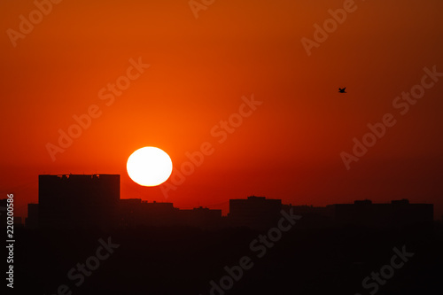 Dawn sun on the background of distant buildings