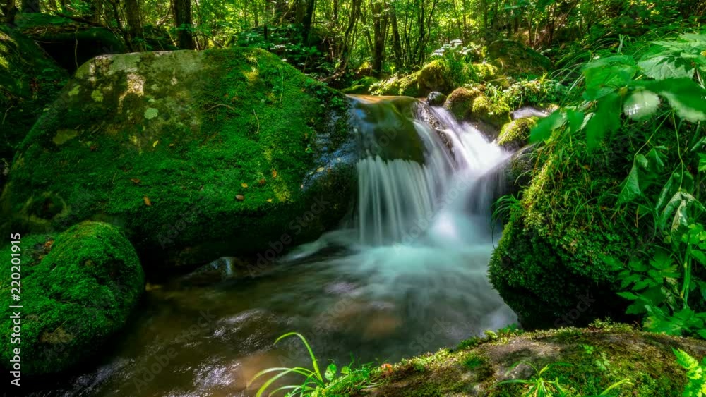 Sangdong mossy valley photographed using power slider. Time lapse. Sangdong mossy valley photographed using power slider. Time lapse.