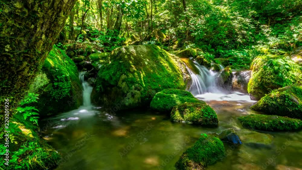 Sangdong mossy valley photographed using power slider. Time lapse. Sangdong mossy valley photographed using power slider. Time lapse.