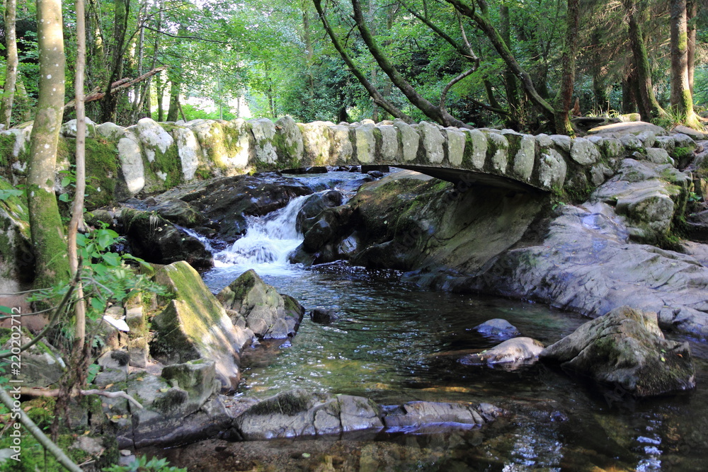 Saut des Cuves, Gérardmer
