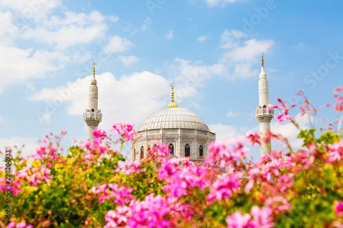 Fotografie, Obraz Pink flowers with Pertevniyal Valide Sultan Mosque, an Ottoman imperial mosque in Istanbul, Turkey
