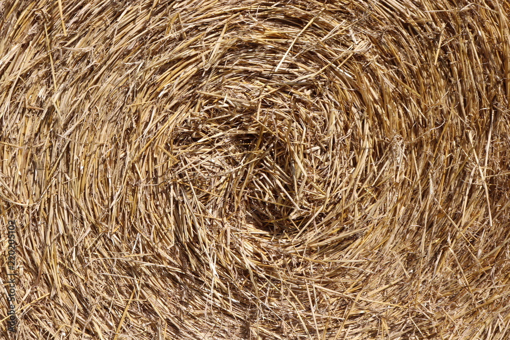Ταπετσαρία Close up of round bale of hale