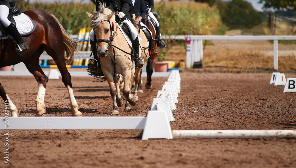 Dressage riders in the neckline on the lap of honor in the dressage square.. Dressage riders in the neckline on the lap of honor in the dressage square..