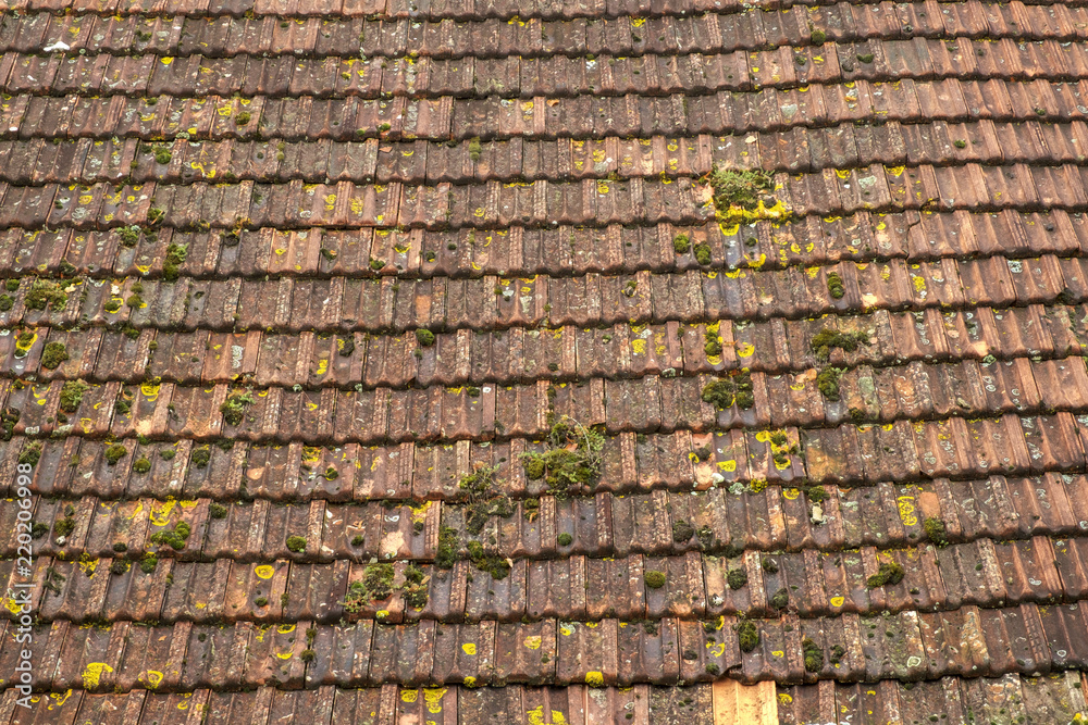 Εκτύπωση καμβά A large barn roof of rustic French tiles
