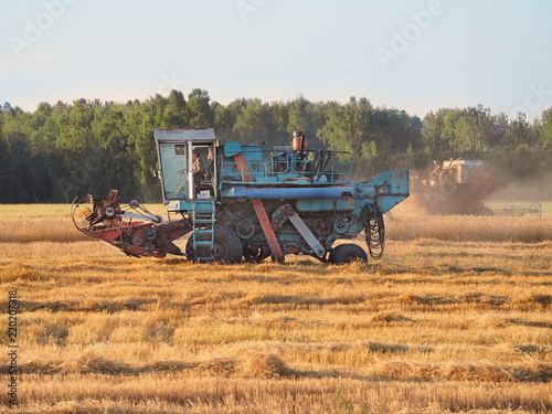 Combine harvester harvest ripe wheat on field