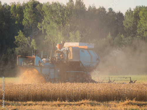 Combine harvester harvest ripe wheat on field © arsenypopel