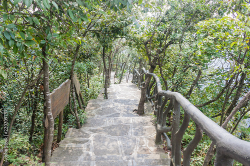 Mountain landscape of zhangjiajie national park, china photo