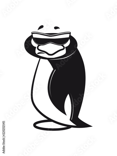 pinguin witzig schlecht gelaunt sonnenbrille