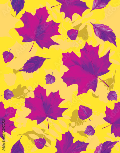  Seamless pattern, violet silhouettes of maple leaves on a yellow background.