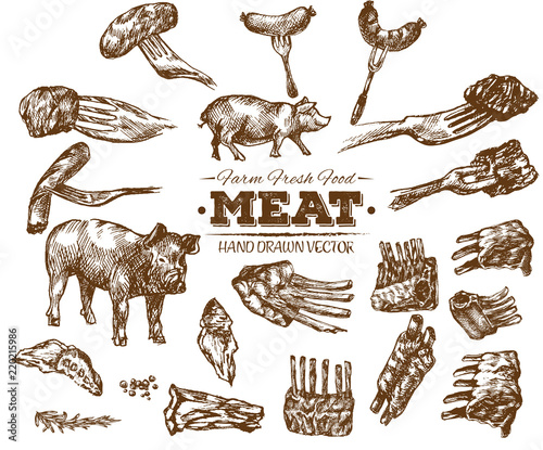 Hand drawn fresh farm meat bbq sketch