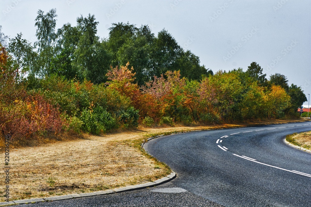 Fototapeta premium Dry summer