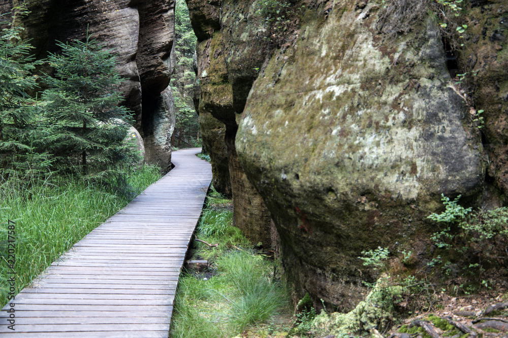 Wooden path in Adrspach National Park, Czech Republic Wooden path in Adrspach National Park, Czech Republic