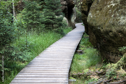 Wooden path in Adrspach National Park, Czech Republic