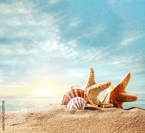 Fototapeta Naklejka Na Ścianę i Meble -  shells on beach and summer time 