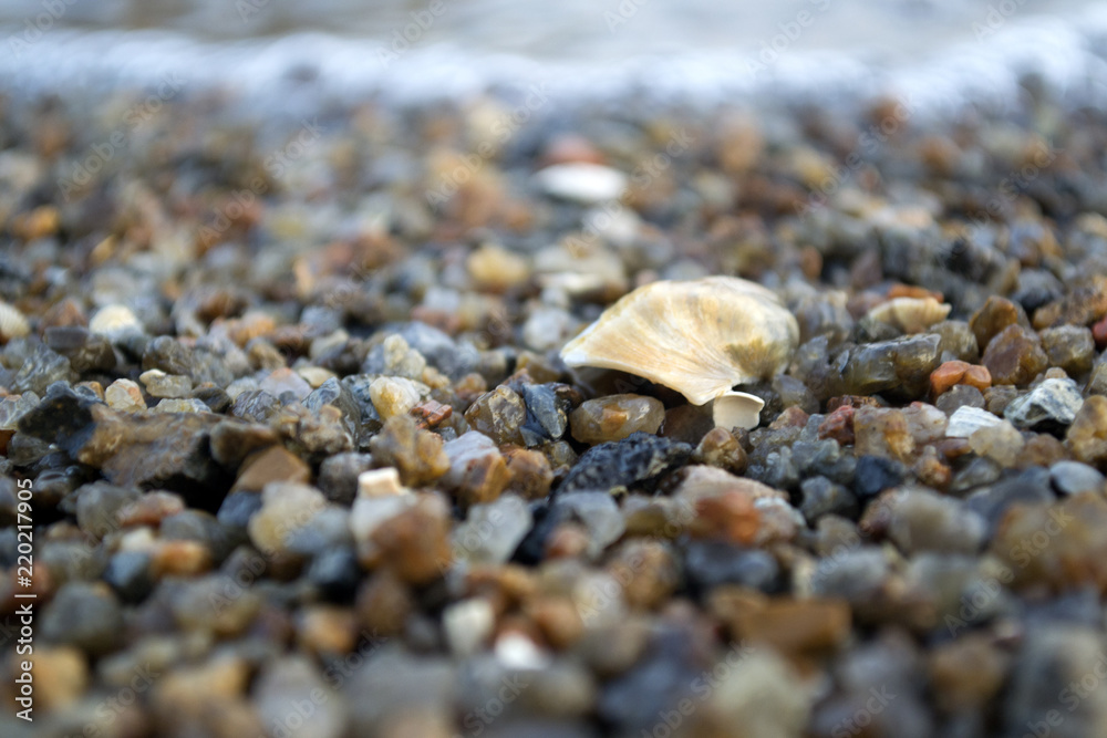 The small pebble macro shot. Small stones background. The small pebble macro shot. Small stones background.
