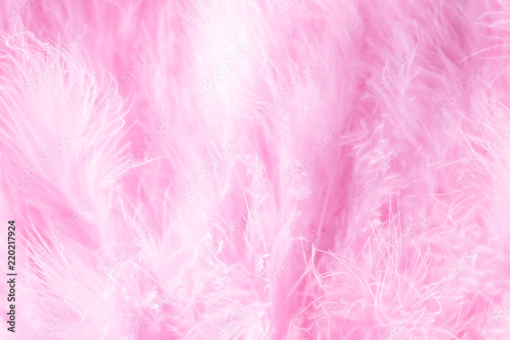 Pink bird feathers in soft and blur style, Fluffy feather background