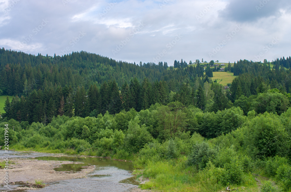 river, in the background of the mountains. Carpathians Ukraine