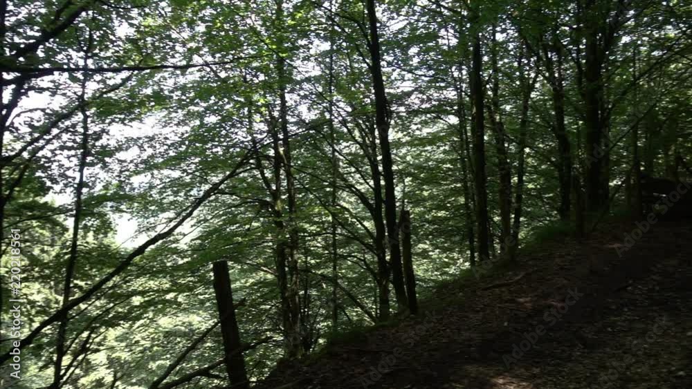 The way of santiago between valcarlos and roncesvalles The way of santiago between valcarlos and roncesvalles