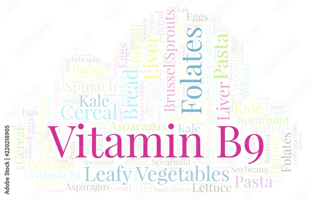 Fototapeta premium Vitamin B9 word cloud.