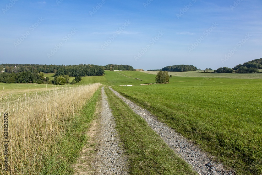 Cultivated Landscape with road