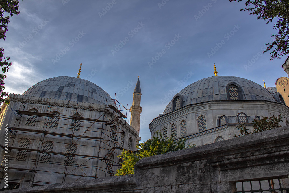 Obraz premium Mezquita Estambul