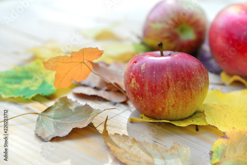 red fresh apples on autumnal leaves put on a table