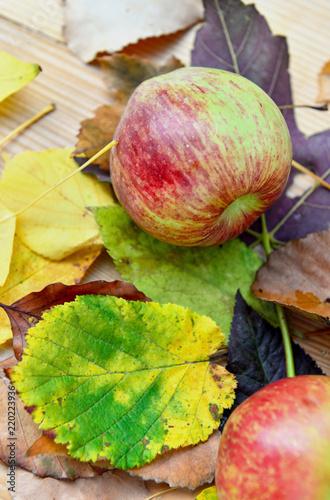 red fresh apples on autumanl leaves put on a table
