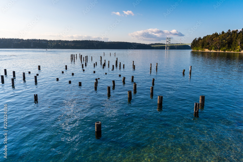Fototapeta Titlow Park's waterfront, in Tacoma, Washington, features old pier pilings exposed during low tide. The Tacoma Narrows Bridge is seen in the distance.