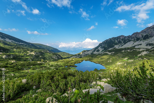 Scenery summer landscape, Pirin Mountain, Bulgaria. photo