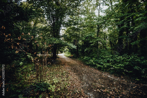 Jena Johannisfriedhof photo