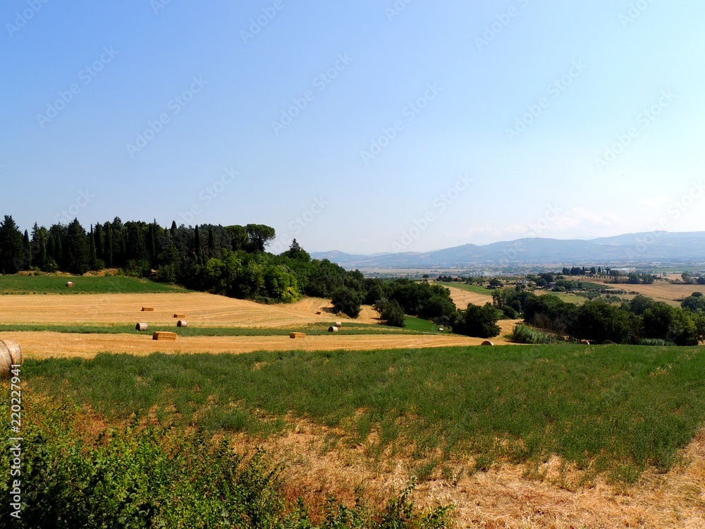 Fototapeta premium View of cultivated fields.