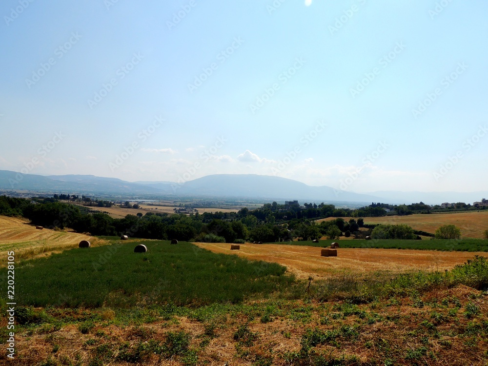 View of cultivated fields.