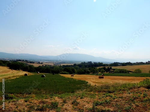 View of cultivated fields. © Federico