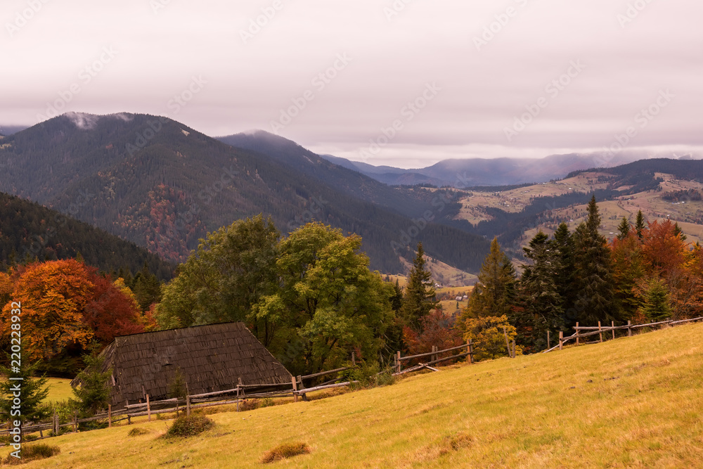 autumn in the mountains. An old house and autumn trees against the backdrop of the mountains. Farmer's mountain view.
