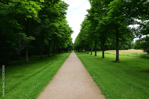 Park beim Schloss Favorite