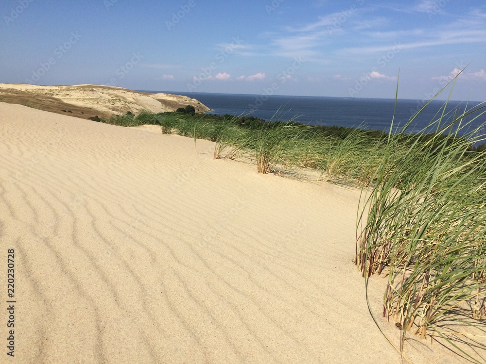 Sand dunes in Neringa, Lithuania Sand dunes in Neringa, Lithuania
