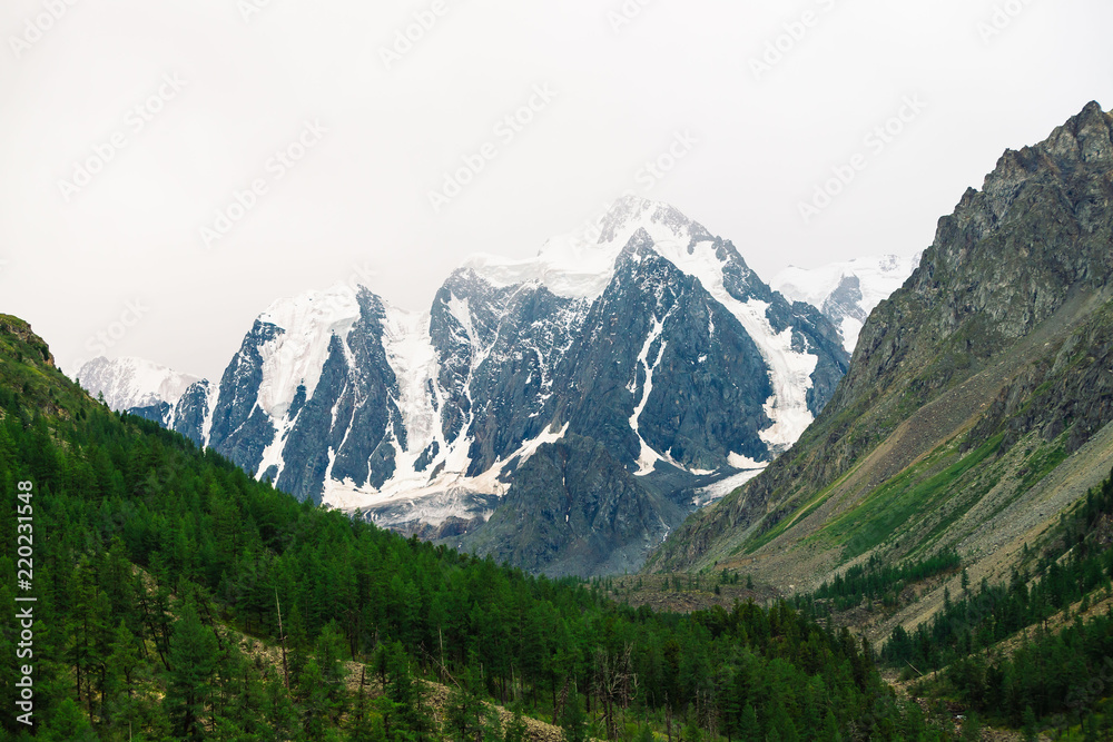Snowy mountain top between rocky mountains under overcast sky. Rocky ridge in mist above forest. Atmospheric minimalistic landscape of majestic nature.