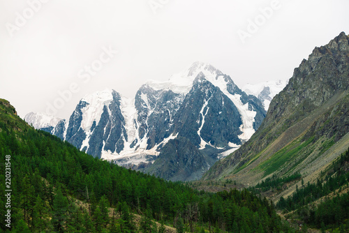 Snowy mountain top between rocky mountains under overcast sky. Rocky ridge in mist above forest. Atmospheric minimalistic landscape of majestic nature.