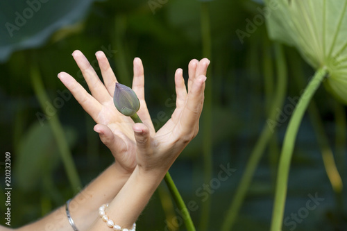 mudra of hand  young woman are folded in a special way into a yoga. Behind a strongly blurred background photo