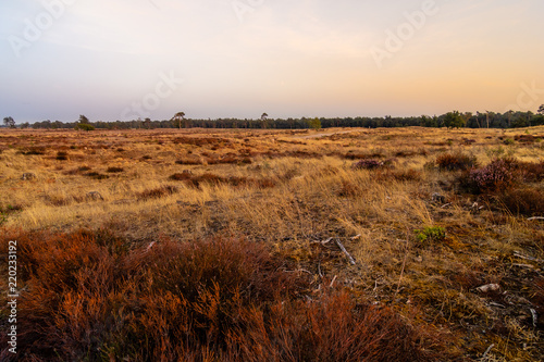Sunset photograph with a meadow field