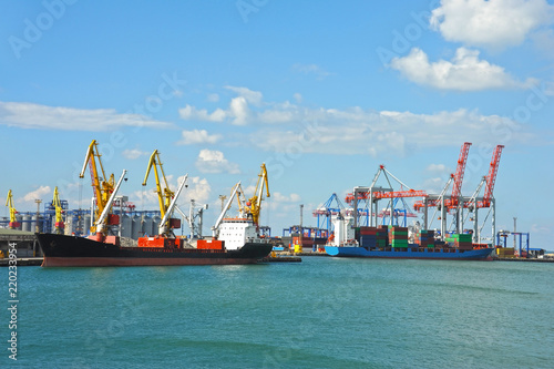 Bulk cargo ship under port crane