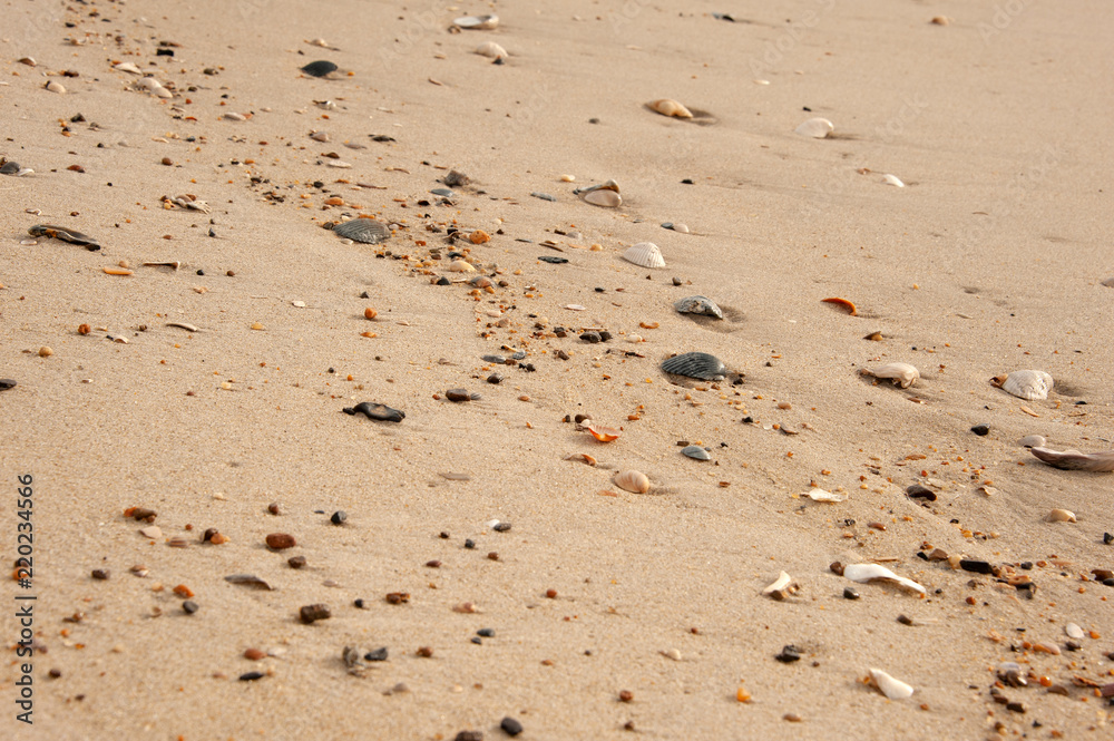 Beach sand 1 Beach sand 1