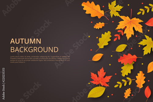 Autumn background with leaves. Can be used for poster, banner, flyer, invitation, website or greeting card. Vector illustration