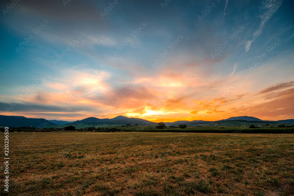sunset on the field in alsace