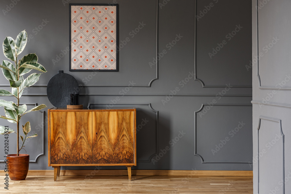 Poster above wooden cabinet next to ficus in living room interior with grey wall with molding. Real photo - obrazy, fototapety, plakaty 