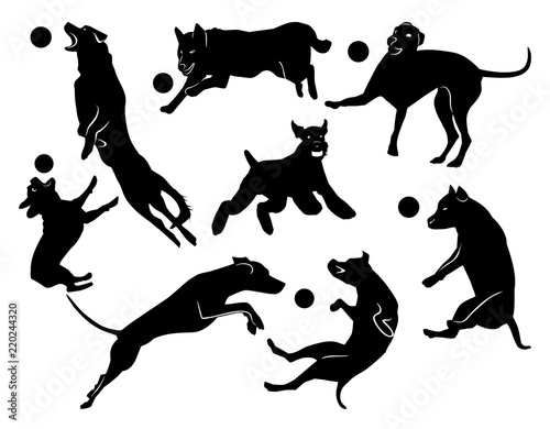Fototapeta Naklejka Na Ścianę i Meble -  Set of cheerful jumping dogs