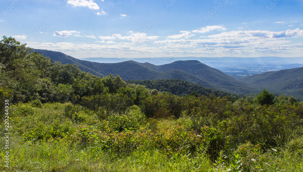 The Shenandoah Valley from a lookout at Skyline Drive with wild flowers