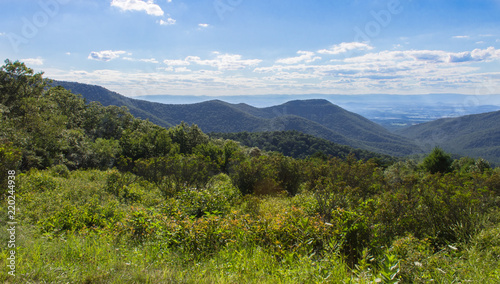 The Shenandoah Valley from a lookout at Skyline Drive with wild flowers © Country Gate Prod.