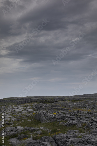 Die Felslandschaft des Burren - Irland